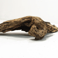 Image 3 of Sea Breeze Designs