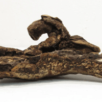 Image 2 of Sea Breeze Designs