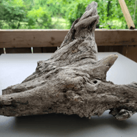 Image 1 of Tidal Whispers