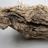 Image 2 of Tidal Whispers