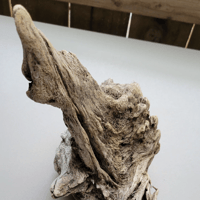 Image 3 of Tidal Whispers