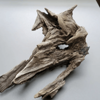 Image 2 of Coastal Inspirations