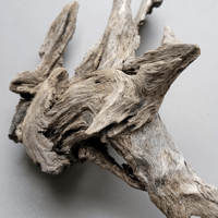 Image 3 of Coastal Inspirations