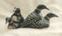 Little Loons Image 3