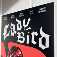 Image 2 of LADY BIRD PRINT