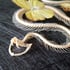 Viper skeleton and yellow butterflies Image 3