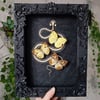 Viper skeleton and yellow butterflies