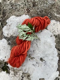 Image 2 of Spun in Soil