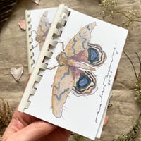 pink io moth small journal 