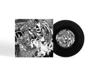 Image 1 of ECCO2K - CRUSH RESIST 7" VINYL