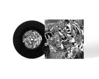 Image 2 of ECCO2K - CRUSH RESIST 7" VINYL