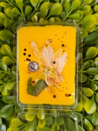 Image 8 of Honey & Orange Blossom- Kind Words are Like Honey, Sweet to the Soul 
