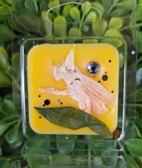 Image 13 of Honey & Orange Blossom- Kind Words are Like Honey, Sweet to the Soul 