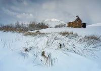 Winter at Elphin exclusive print