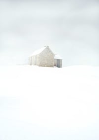All is white exclusive print