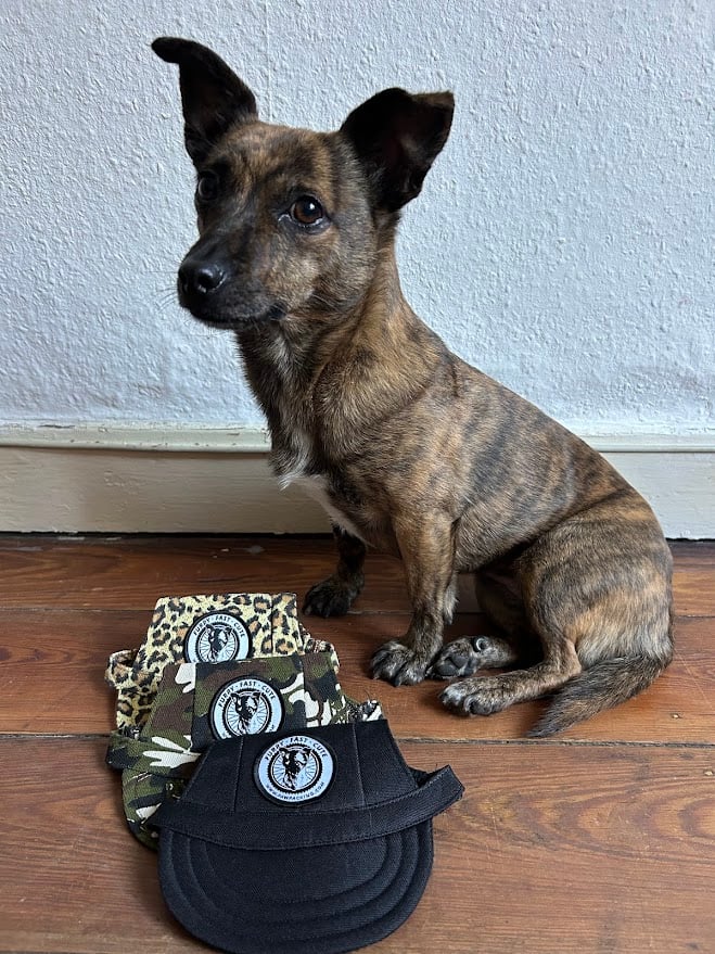 Image of PawPacking.com Dog Cap