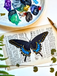 Image 1 of Life in Old Pages Insect n. 51 Black Swallowtail