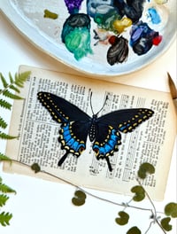 Image 2 of Life in Old Pages Insect n. 51 Black Swallowtail