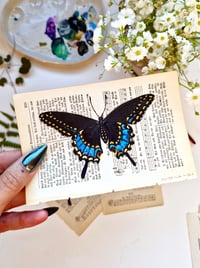 Image 3 of Life in Old Pages Insect n. 51 Black Swallowtail