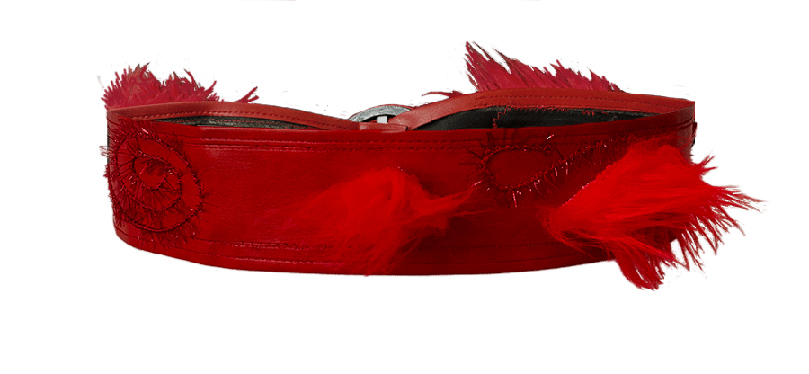 Image of Red Belt