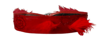 Image 3 of Red Belt