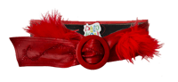 Image 1 of Red Belt