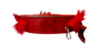 Image 2 of Red Belt