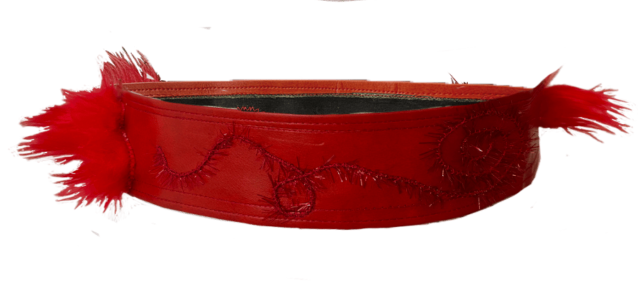 Image of Red Belt