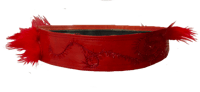 Image 4 of Red Belt