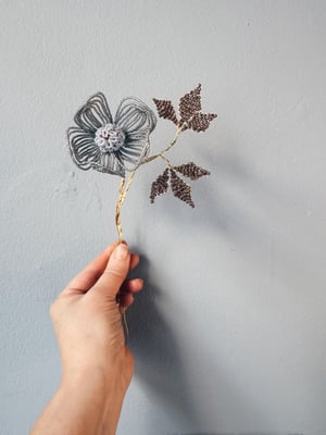 Blågrå Delica Dagny Anemone 
