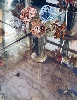 Coral Delica Dagny Anemone 