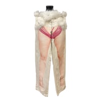 Image 2 of sexfurypant