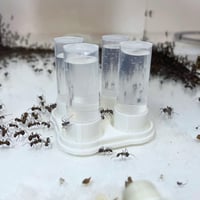 Image 3 of Abreuvoir quadruple 20ml