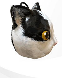 Image 3 of Pretty Cat Moon