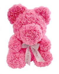 Rose bear love