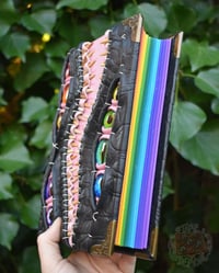 Image 2 of Rainbow Alligator Split Maw