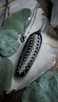 Image 2 of Snake Spine Pendant