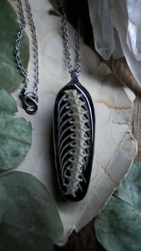 Image 4 of Snake Spine Pendant