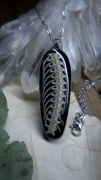 Image 1 of Snake Spine Pendant