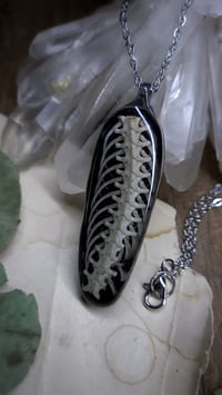 Image 5 of Snake Spine Pendant