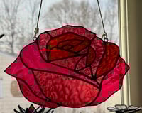 Image 3 of Rose