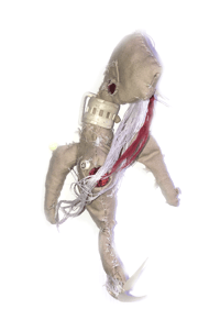 Image 5 of Baby Dragon Seahorse Salvage Plush