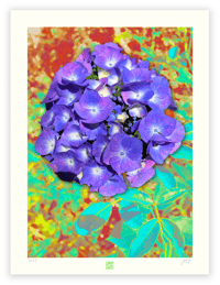Image 1 of A SINGULAR BEAUTY #2 (24X18)