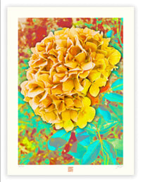 Image 1 of A SINGULAR BEAUTY #3 (24X18)