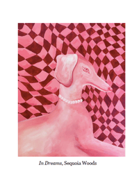 Image 2 of Issue 09
