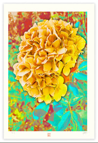 Image 1 of A SINGULAR BEAUTY #3 (36X24)