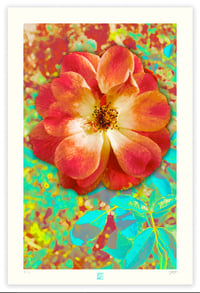 Image 1 of A SINGULAR BEAUTY #1 (36X24)