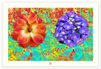 Image 1 of DOUBLE VISION 