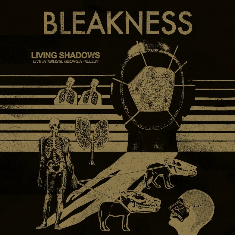 Image of BLEAKNESS - Living shadows [KICK ROCK LIVE SERIES VOL.6]