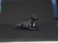 Image 2 of 3d printed full color Cane Corso